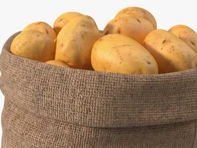  Open Storage Sack With Potatoes 
