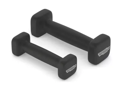 Technogym Accessories Bike Weights 3D model
