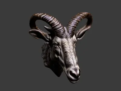 Deer Animal Head Low-poly 3D model 8