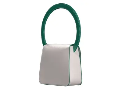 White Green Combo Leather Flap Bag 3D model