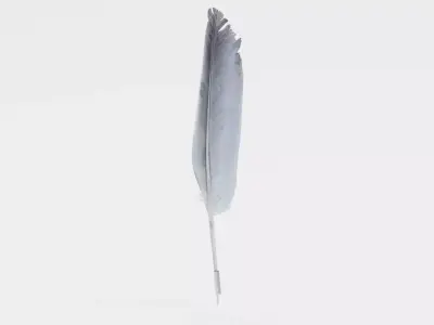 -Quill- 3D model