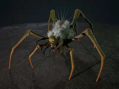 Spider 4 Low-poly 3D model