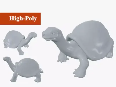 turtle rig  high-poly  3D model
