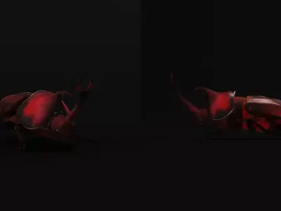 Dynastinae Rhinoceros Beetle Free low-poly 3D model