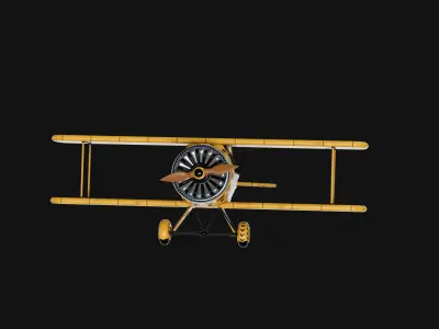 Light Aircraft 3D model get