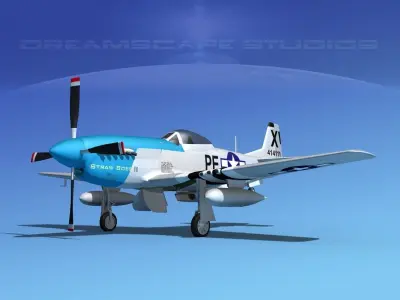 P-51D Mustang Strawboss 3D model