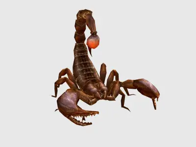 animated scorpion  Low-poly 3D model