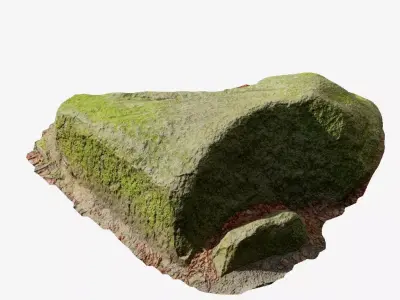 Rock Moss Forest Pbr Scan Part 1 2 Free 3D model