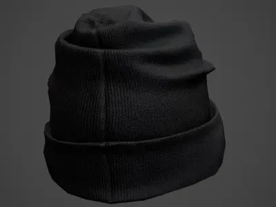 Winter Hat 3D model