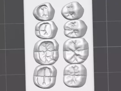 Occlusal Restoration Training Models  Upper and Lower 3D print model purchase
