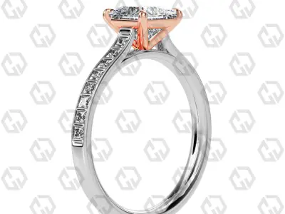 Ring 78 Princess Shape and princess on shanks with Gems 3D print model