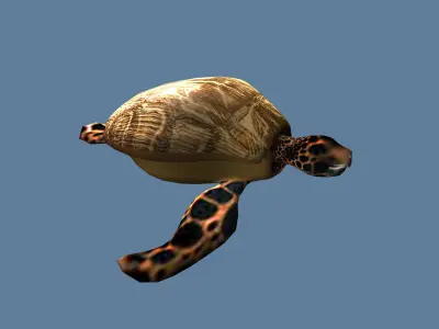 golden turtle Low-poly 3D model
