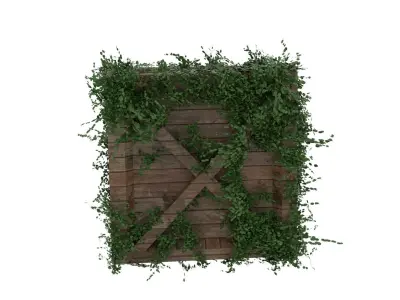 Moss Crate  3D model