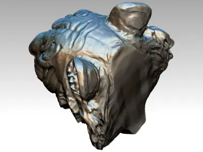 High detailed Tiger head  3D print model