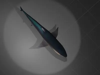 Tiger Shark Low-poly 3D model purchase