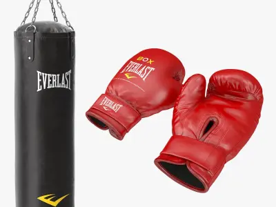 Boxing Gloves and Punching Bag Collection 3D model
