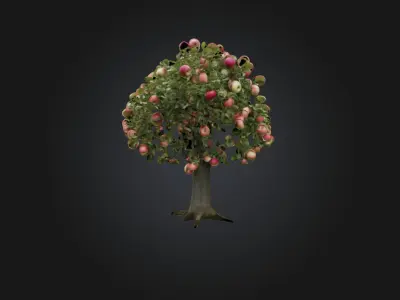 Apple Tree Low-poly 3D model purchase
