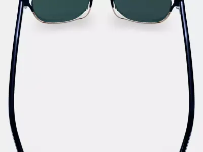 Downing Sunglasses in Antique Shale Fade 3D model