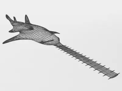 Saw shark Low-poly 3D model