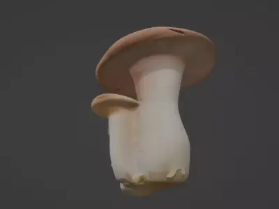 Mushroom game ready asset  3D model