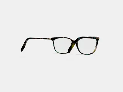 Esme Eyeglasses in Aventurine Tortoise with Polished Gold 3D model purchase