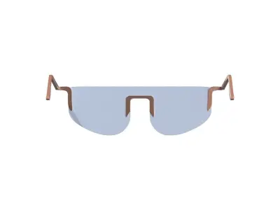 Sky Tint Sunglasses 3D model