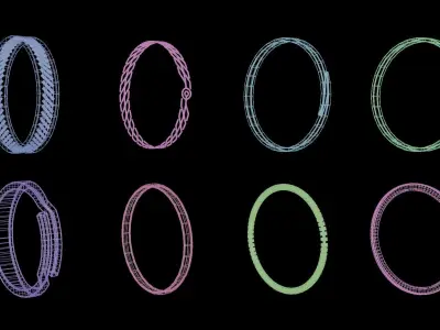 Basic Ring Pack  3D model