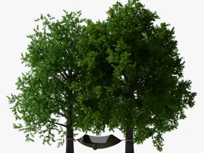 Camping Hammock with Mosquito Net Between Trees 3D model