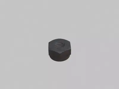 M2 5 Nut Lock Type Coarse Threads with Rusty Iron Texture 3D model