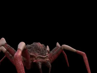 red spider columbias Low-poly 3D model