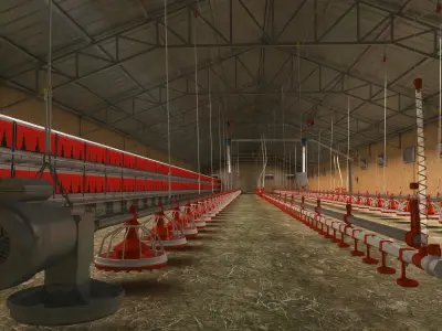 Chicken Egg Product Farm Barn 3D model