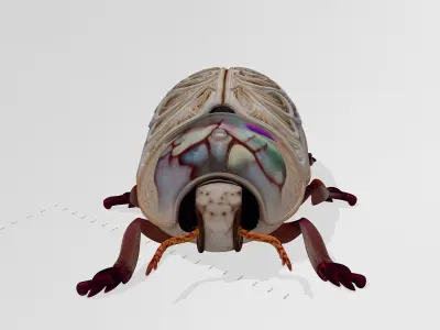 Engraved Iridescent Beetle 3D Model 3D model