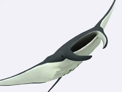 3DRT - Sealife - Manta ray Low-poly 3D model