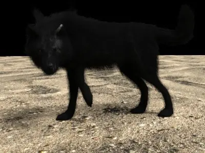 black red eyes wolf Free 3D model
