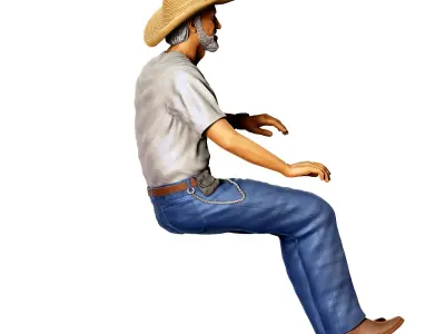 N3 Truck Driver 3D print model