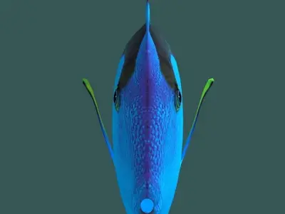 Blue Tang 3D model