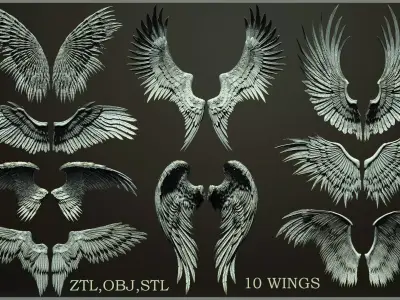 10 Wings 3D model