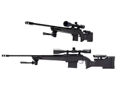 Creedmoor Accuracy rifle  3D model