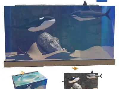 shark Low-poly 3D model 49