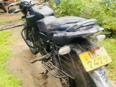 Pulser 180 bike 3 D modle  Free 3D model