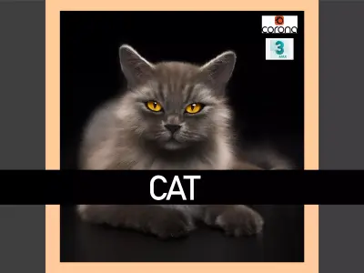 Cat 1 3D model