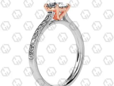 Ring 79 Round Shape and princess on shanks with Gems 3D print model