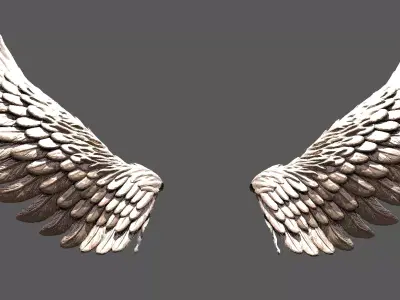 Serafim Wings 1 3D model