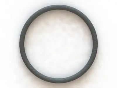 O Ring Vedabras 12997 3D model