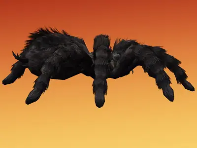 Spider Tarantula Low-poly 3D model purchase