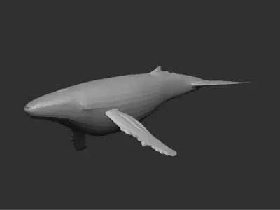 Whales animals wildlife nature creatures Free 3D model