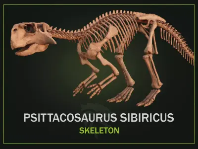 Psittacosaurus 3D model