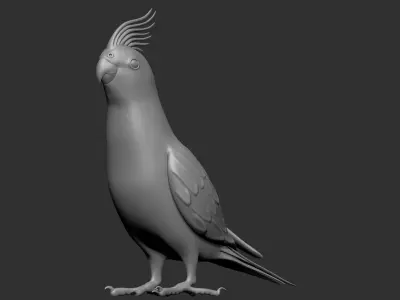 Parrot Low-poly 3D model buy
