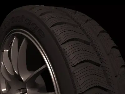 BFGoodrich Winter Tire 3D model