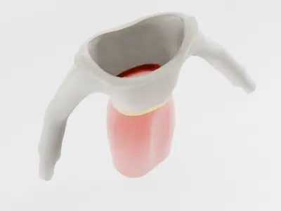 Antique Dress Low-poly 3D model